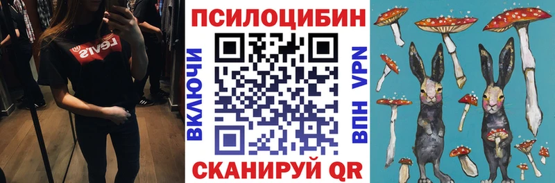 наркошоп  Энгельс  Галлюциногенные грибы Magic Shrooms 