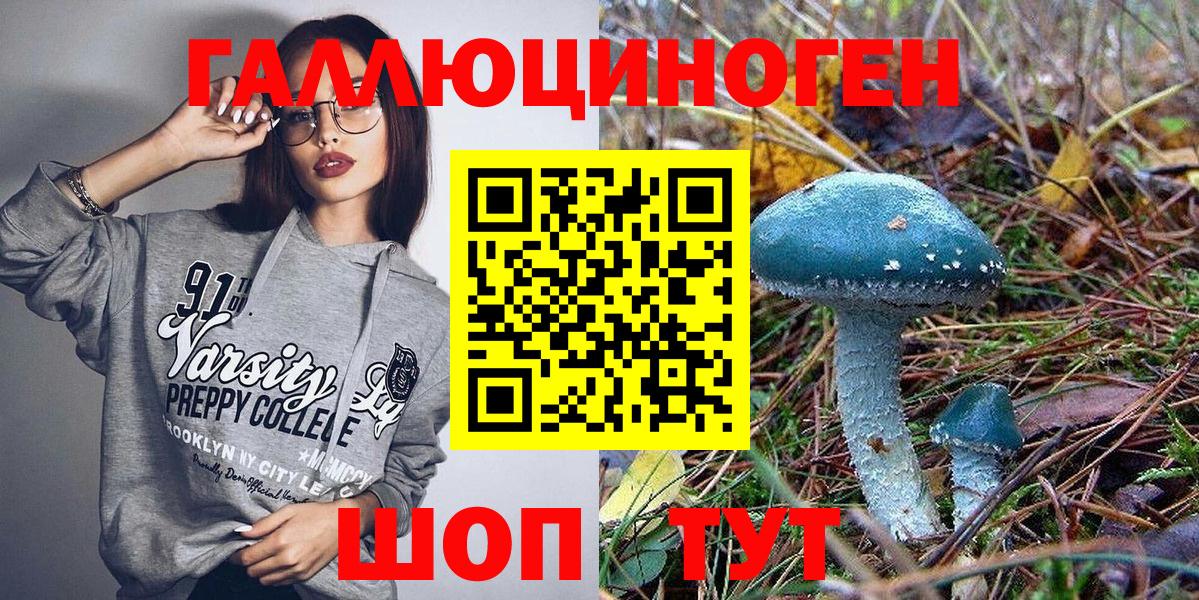Энгельс  Псилоцибиновые грибы Psilocybine cubensis  Вход с VPN 
