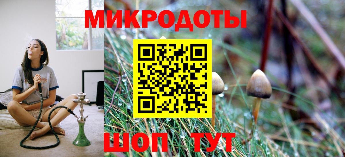 Галлюциногенные грибы мицелий Энгельс
